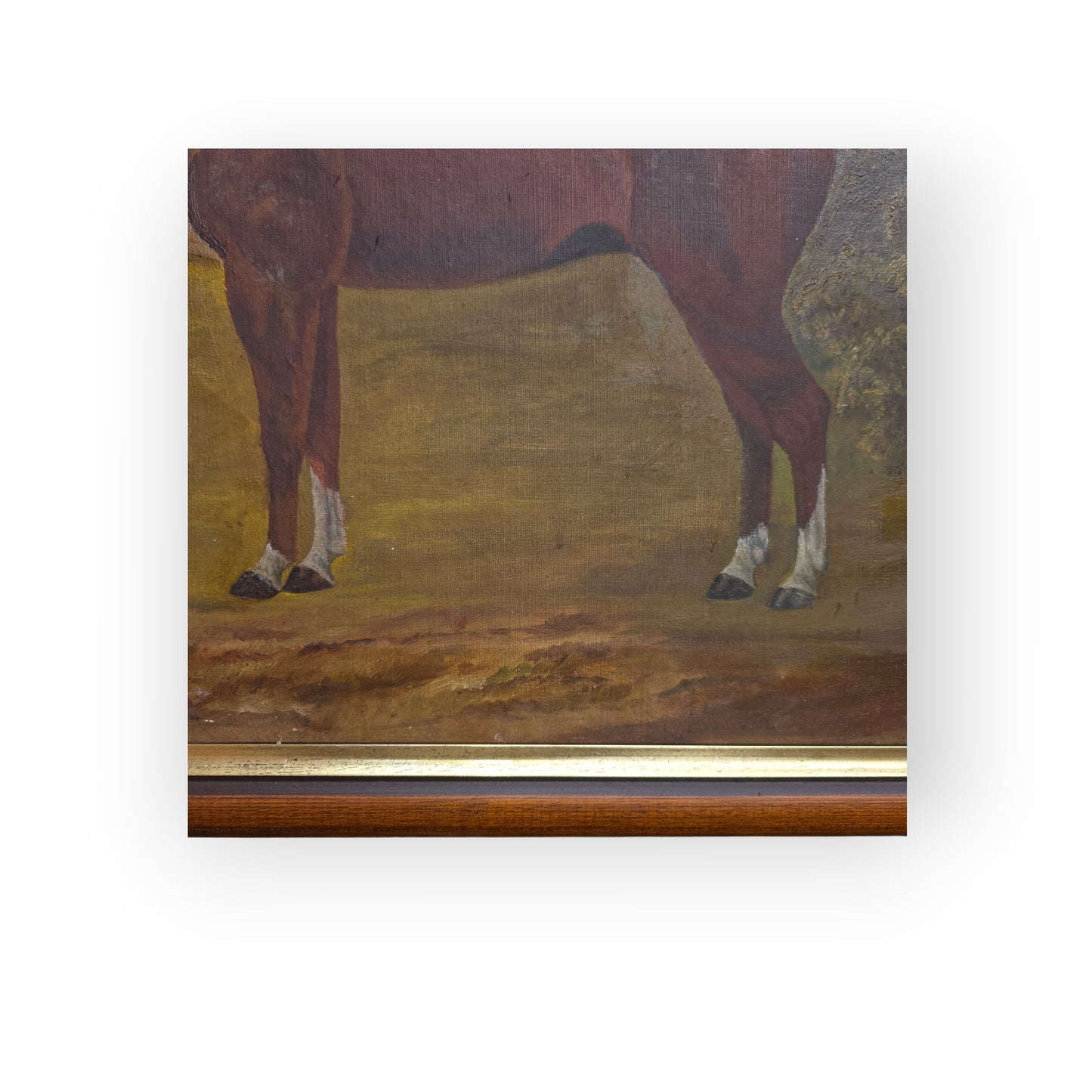 A Primitive 19th-Century English Antique Oil On Canvas Painting / Portrait Of A Bay Horse