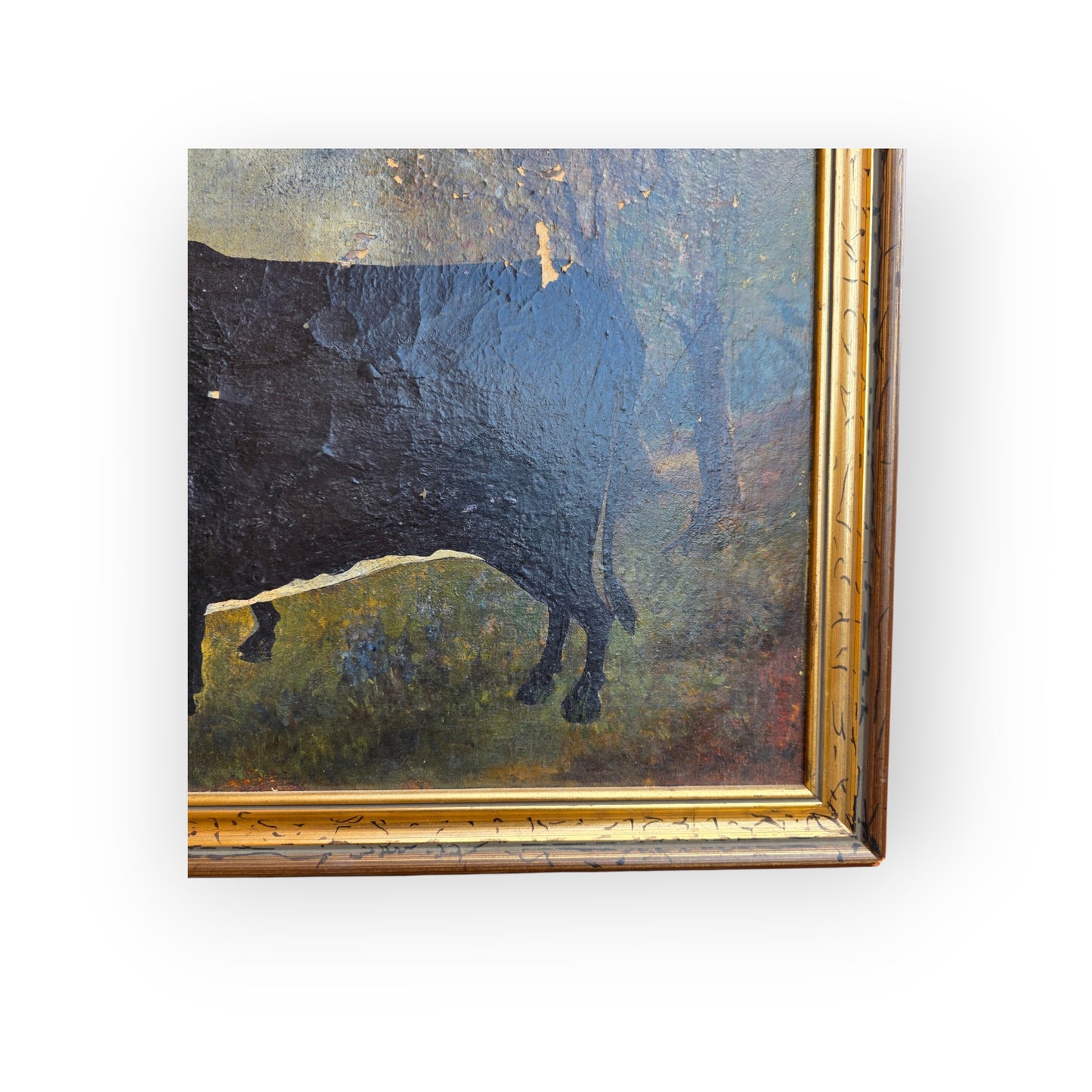 C. Brett — A Naive, Mid-19th Century, English School Antique Study of a Black and White Cow