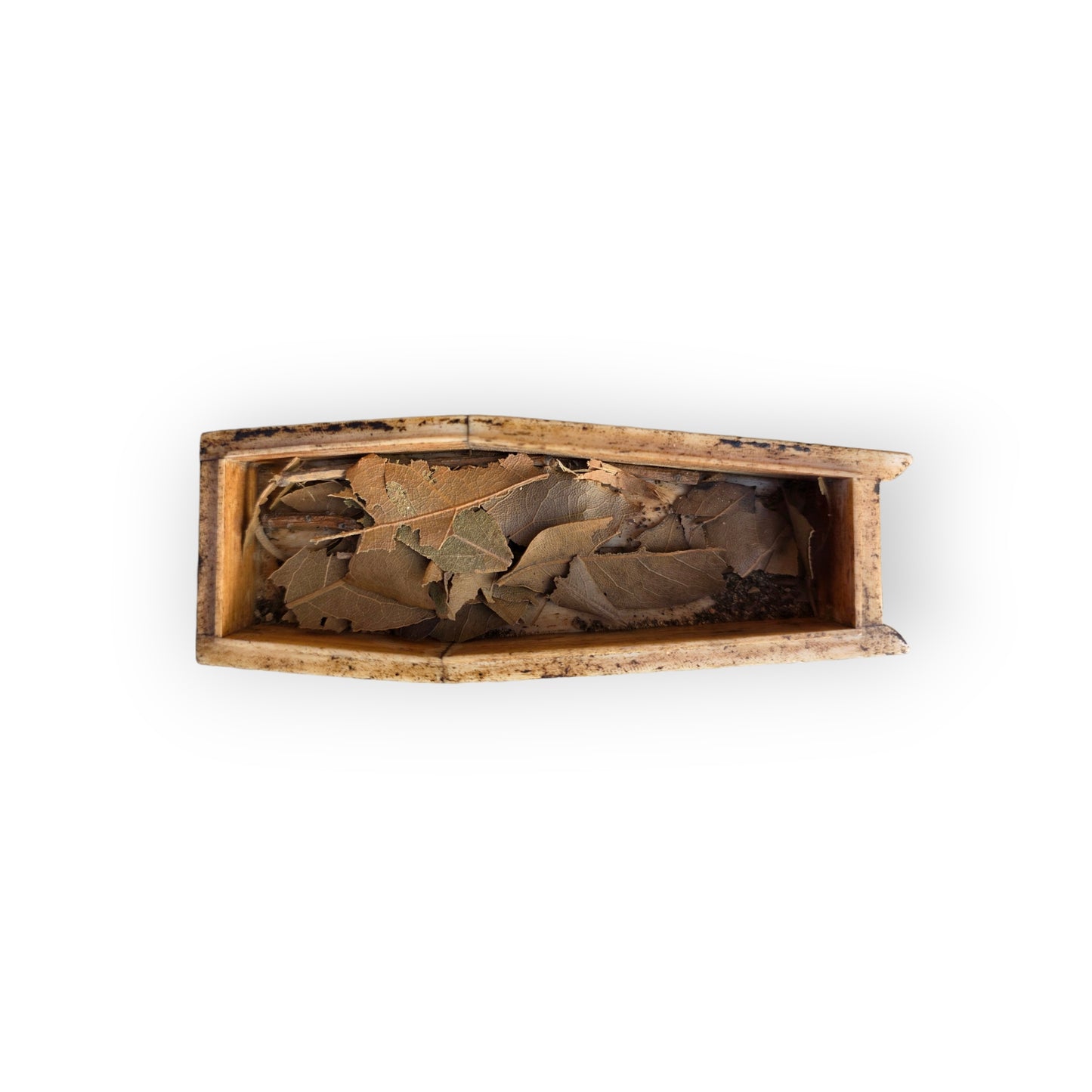 Rare Georgian Antique Bone Memento Mori — Articulated Skeleton in Bone Coffin, English, c.1750–1820