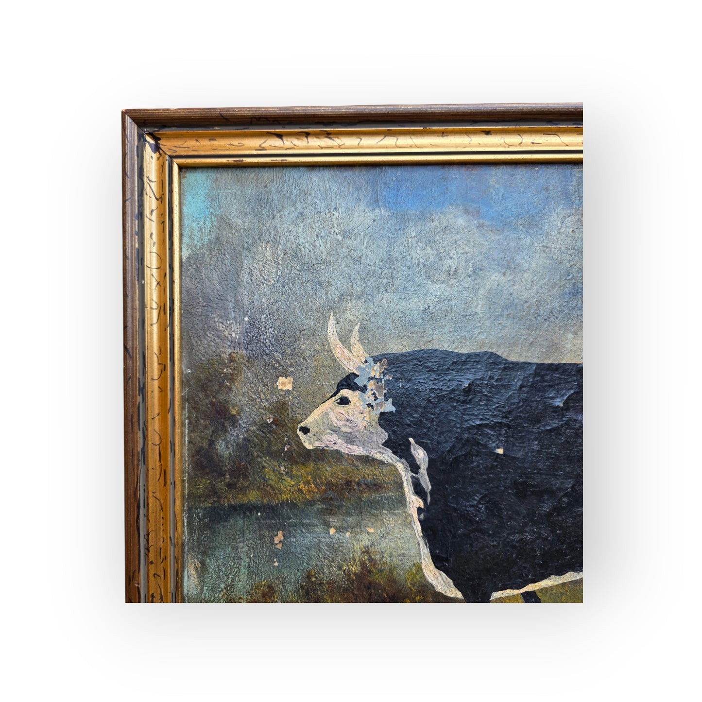 C. Brett — A Naive, Mid-19th Century, English School Antique Study of a Black and White Cow