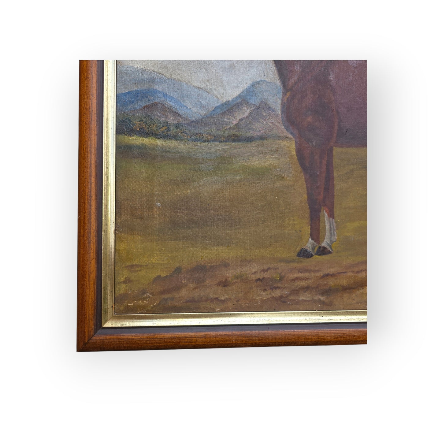 A Primitive 19th-Century English Antique Oil On Canvas Painting / Portrait Of A Bay Horse