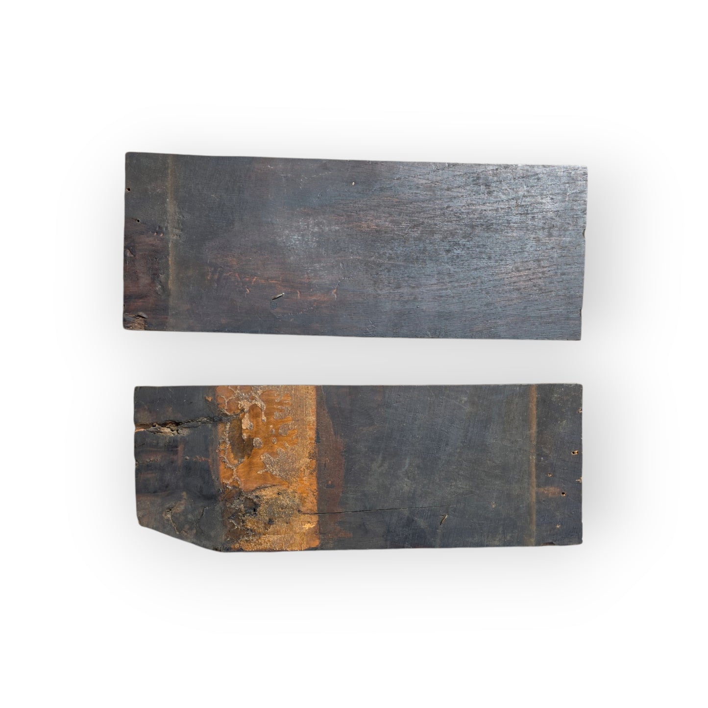 A Fine Pair of Early 17th-Century English Carved Oak Panels Depicting Wyverns, Circa 1600–1640
