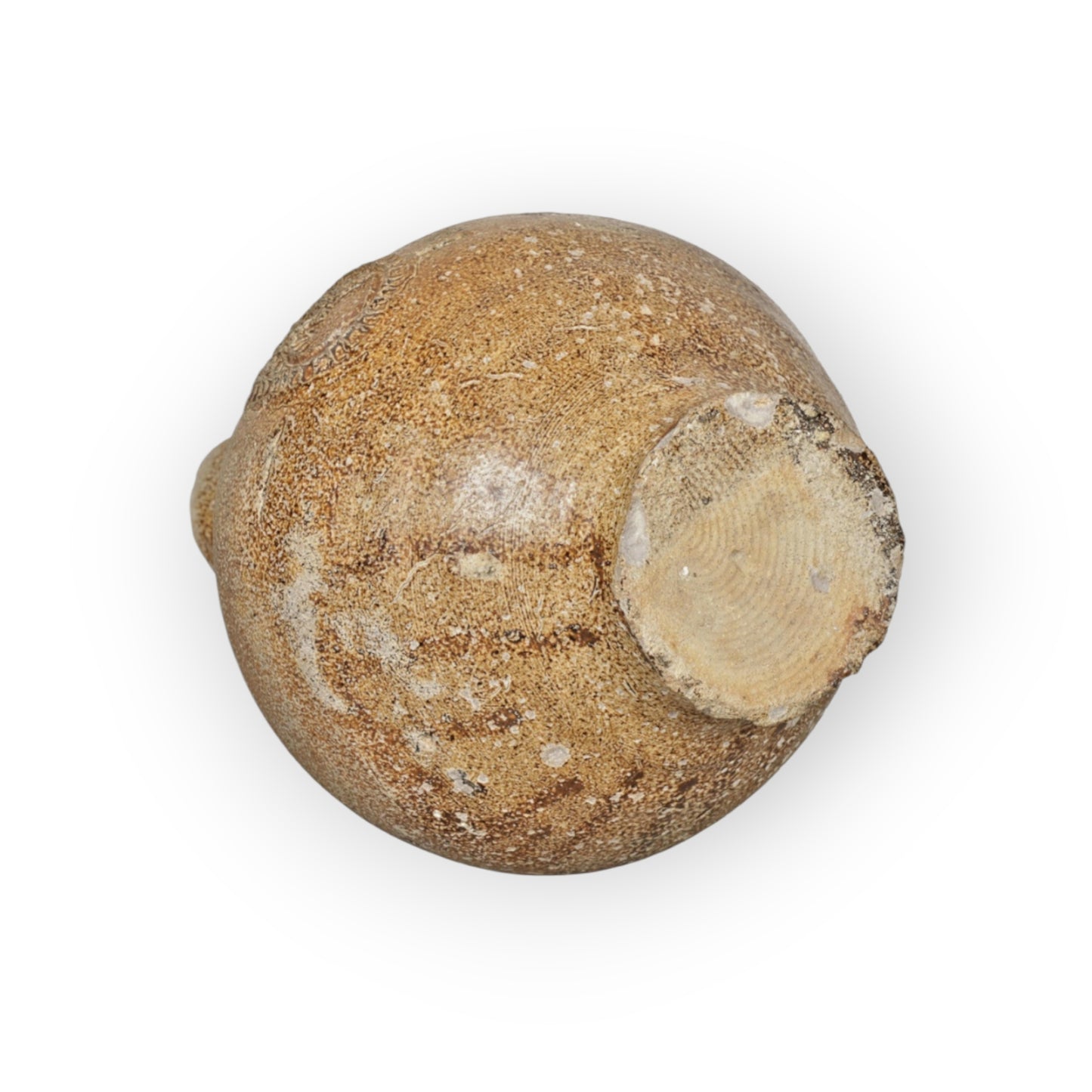 Late 17th Century Salt-Glazed Stoneware Bellarmine Jug, Sea-Recovered from the Barrow Deeps