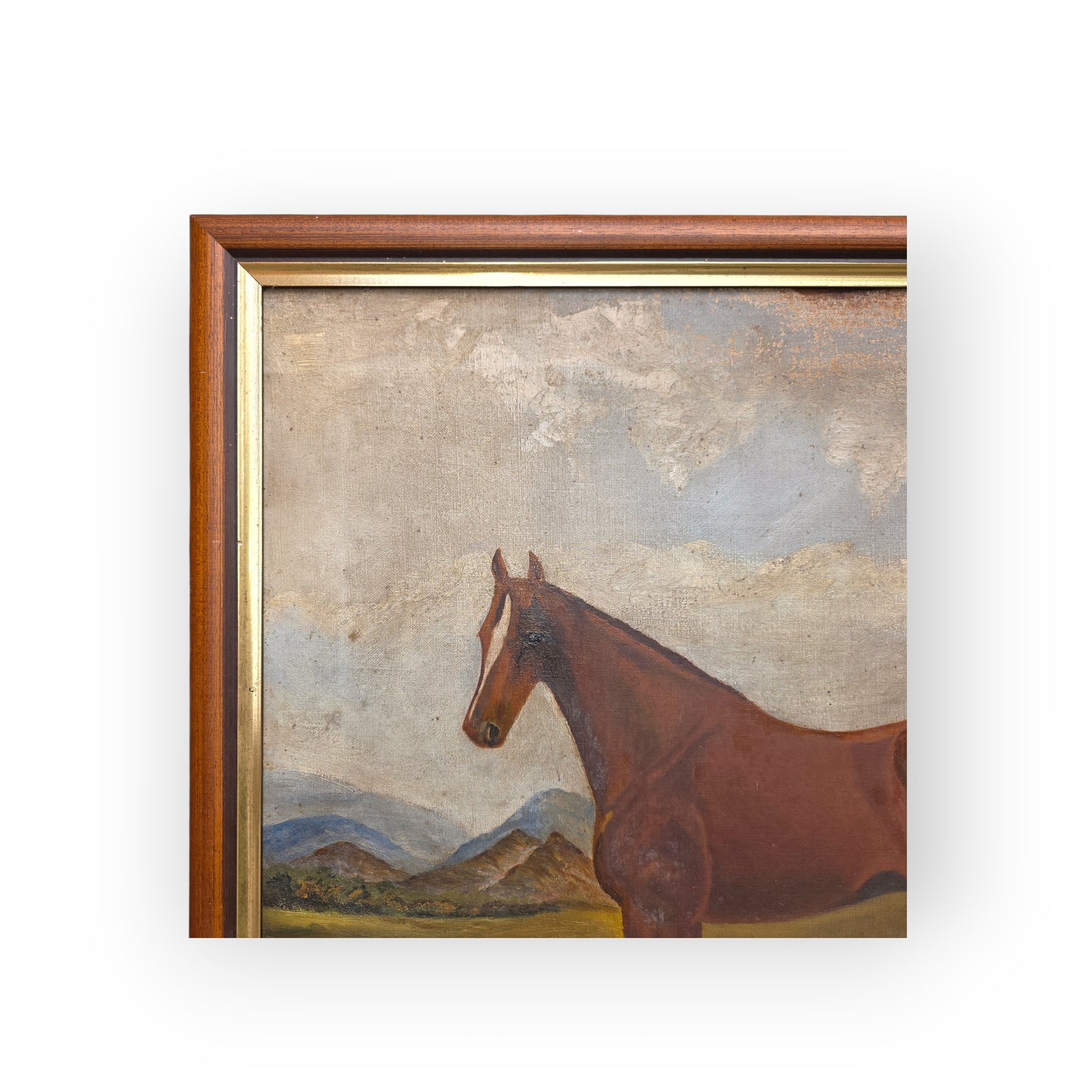A Primitive 19th-Century English Antique Oil On Canvas Painting / Portrait Of A Bay Horse
