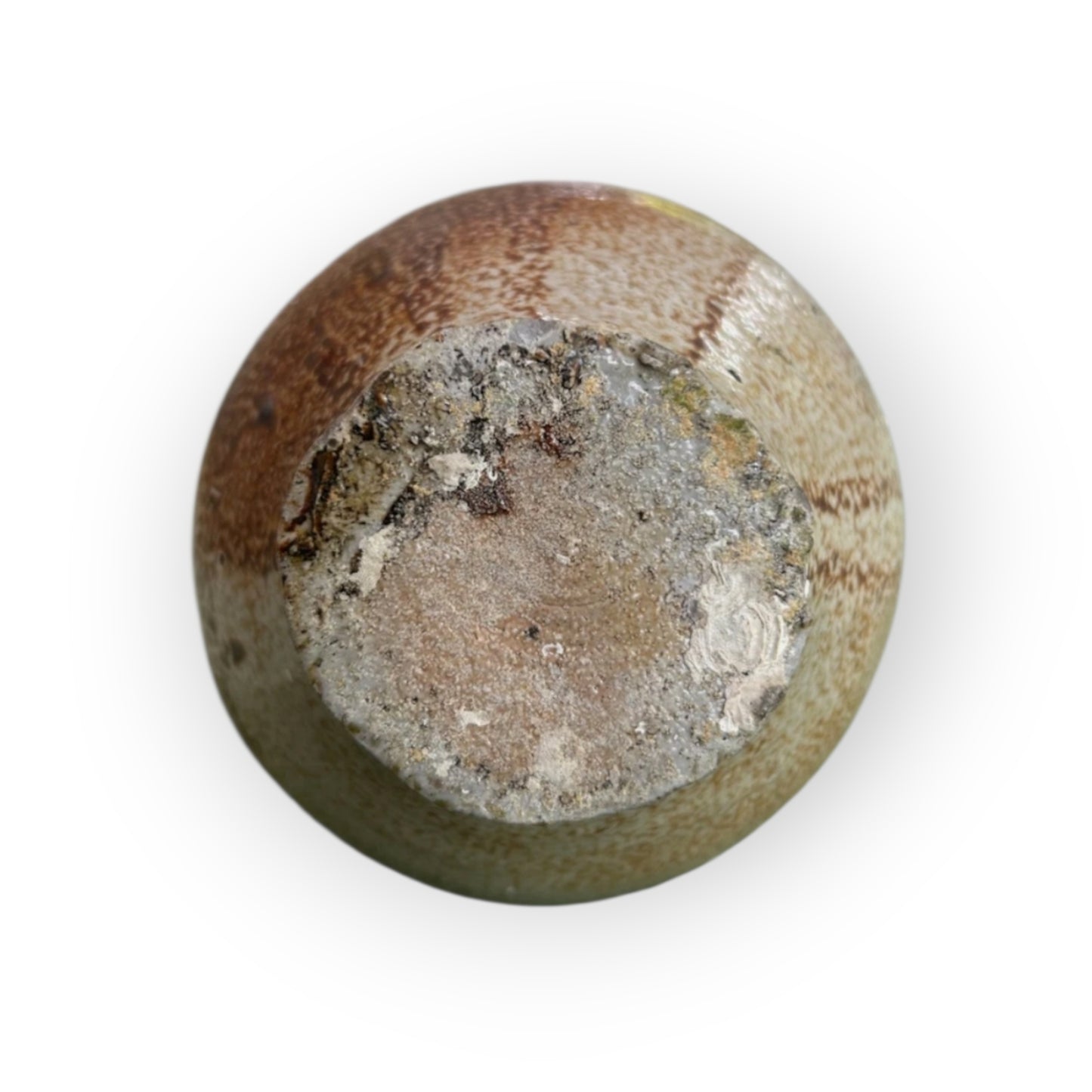 17th-Century German Antique Stoneware Bellarmine Jug/Bartmannkrug with Marine Concretion - A Seabed Find