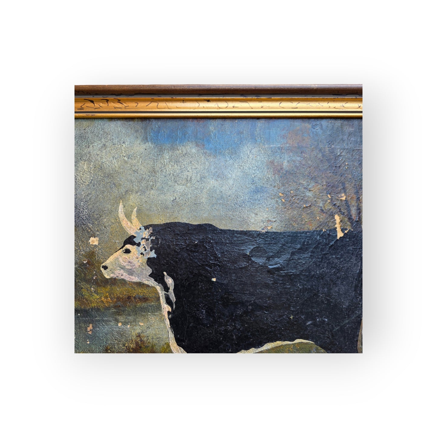 C. Brett — A Naive, Mid-19th Century, English School Antique Study of a Black and White Cow