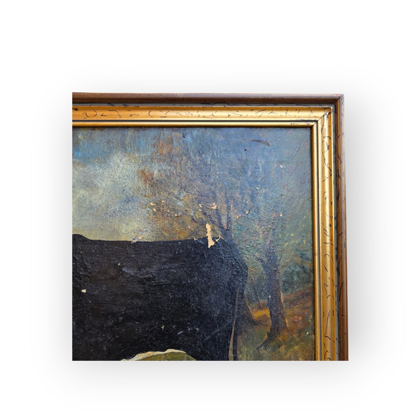 C. Brett — A Naive, Mid-19th Century, English School Antique Study of a Black and White Cow