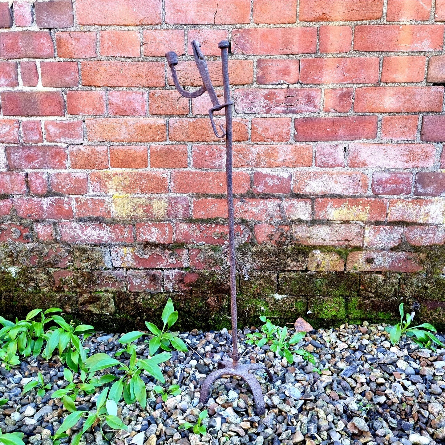 18th Century Antique Wrought Iron Standing Rushlight Attributed to Wales or English Borders