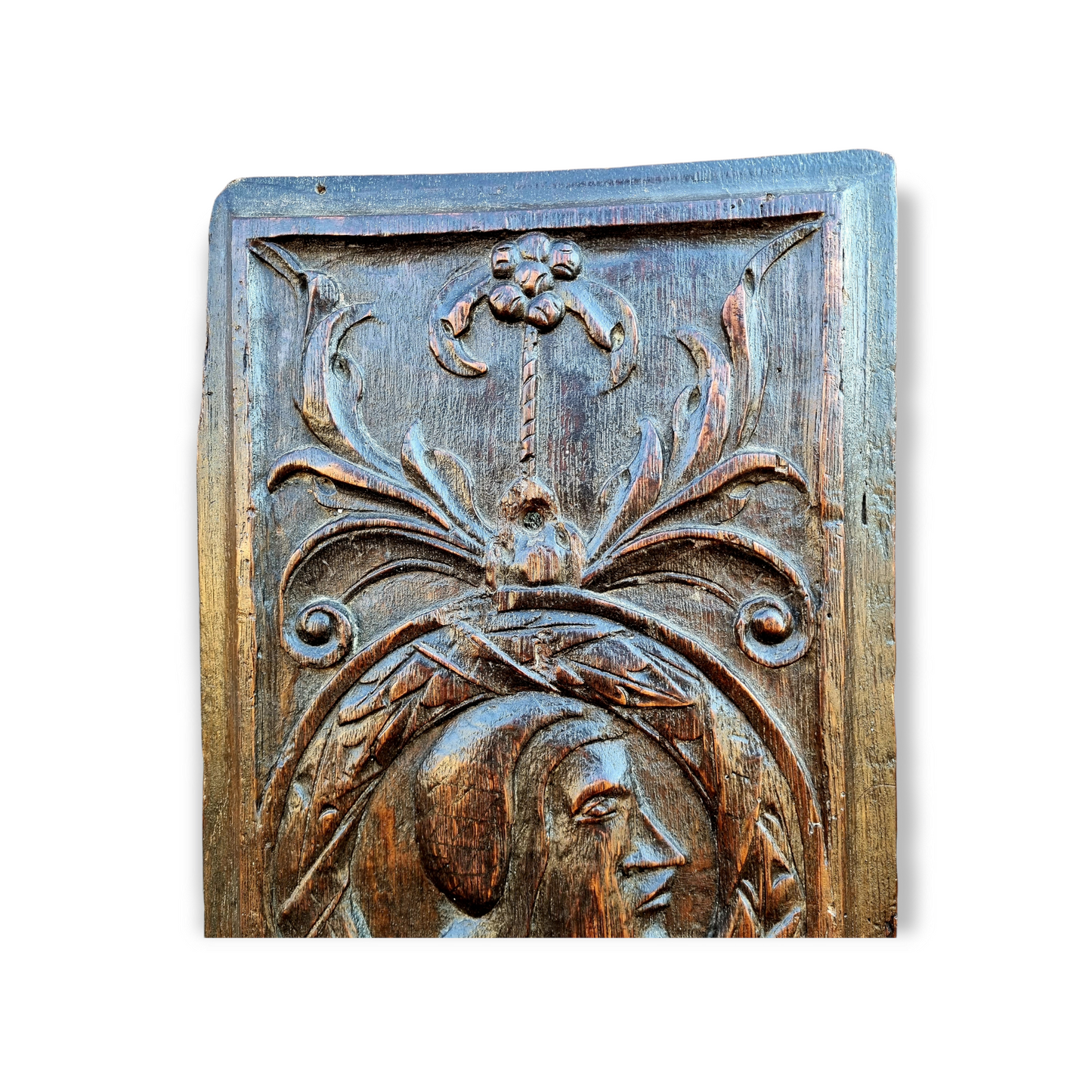 Mid 16th Century English Antique Carved Oak Romayne Panel