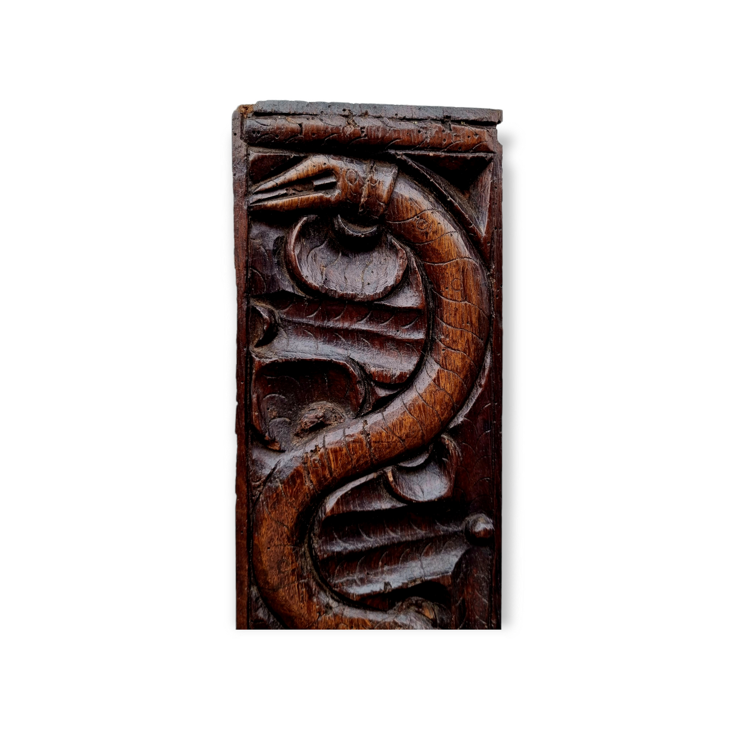 Late 16th Century / Early 17th Century Antique Carved Oak Panel Depicting A Serpent / Snake