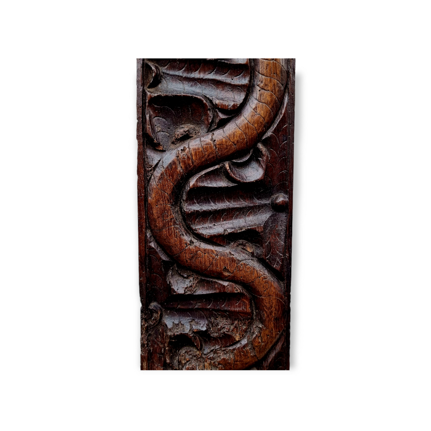 Late 16th Century / Early 17th Century Antique Carved Oak Panel Depicting A Serpent / Snake