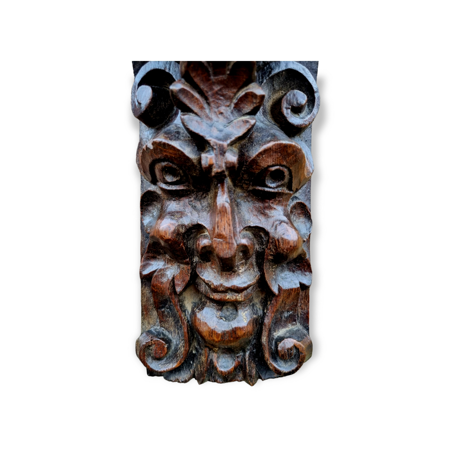 Early 17th Century English Antique Carved Oak Panel / Corbel Depicting a Green Man