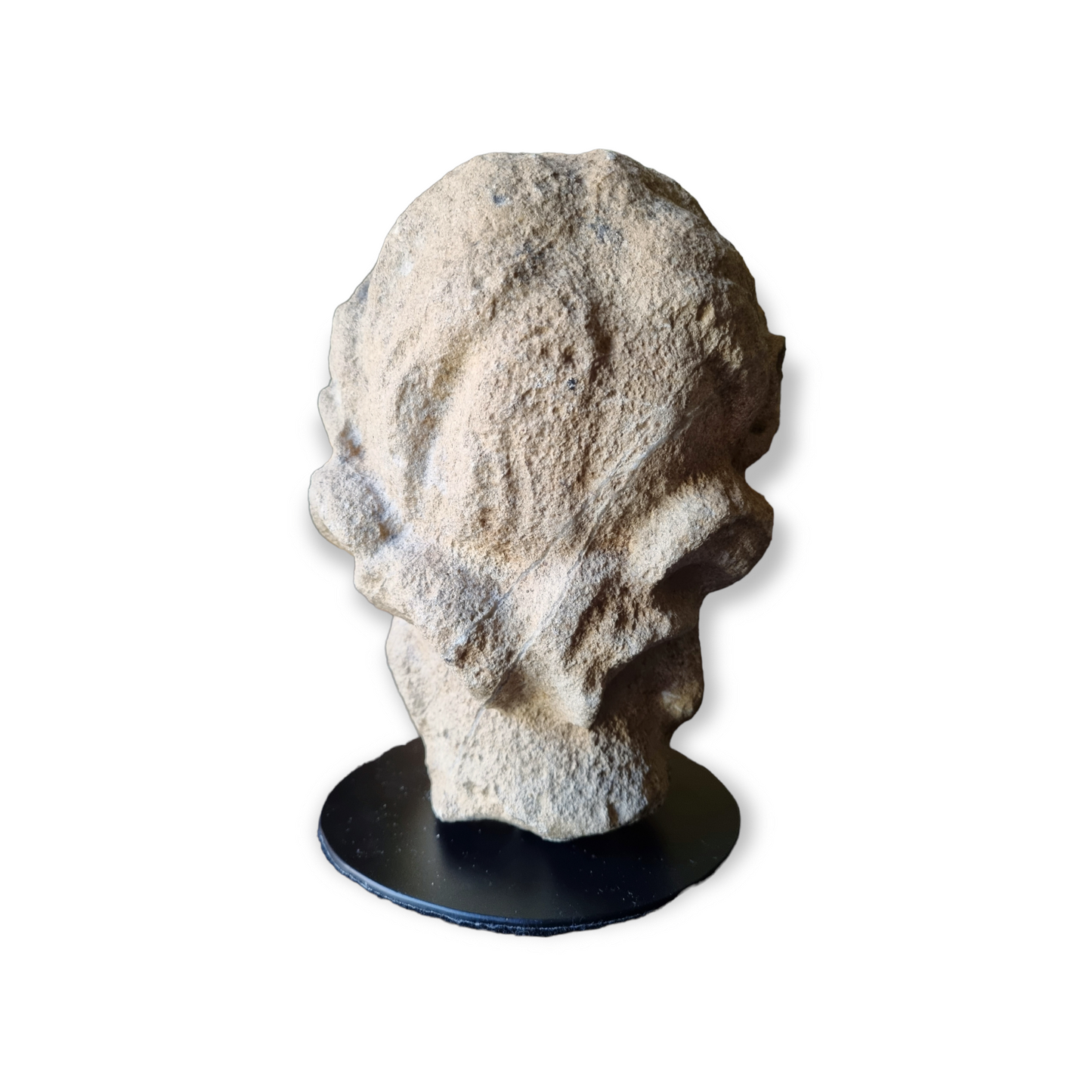 Grand Tour Roman Antiquity - 2nd Century AD - A Life-Size Antique Carved Stone Head of a Female Goddess, Possibly Venus