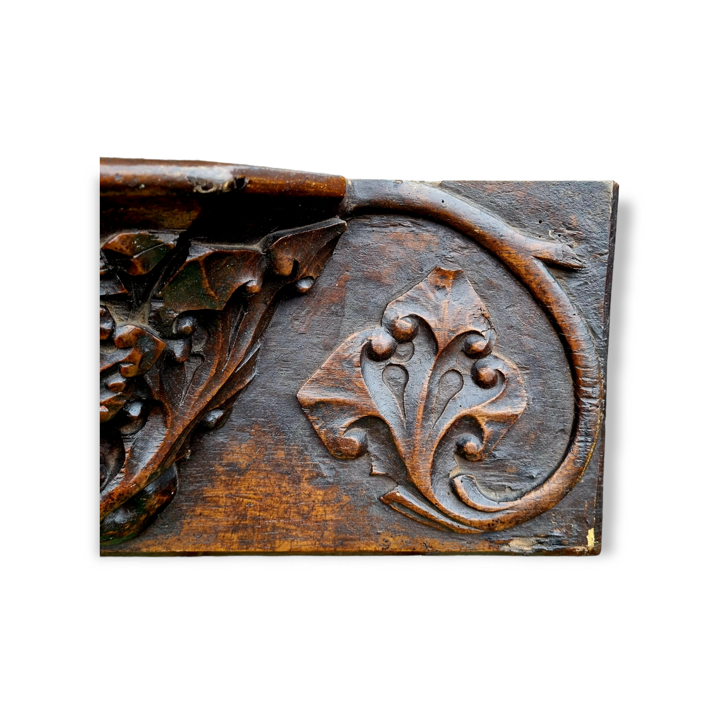 Rare 15th Century English Antique Carved Oak Misericord