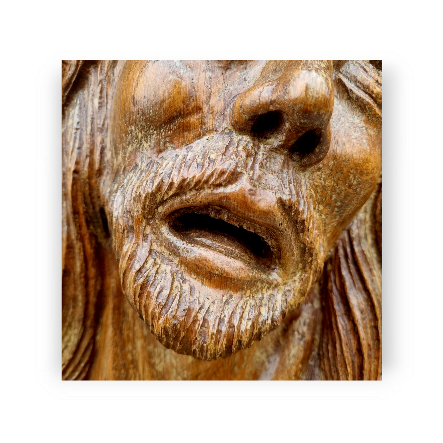 Large Life-Size 15th Century Flemish Antique Carved Wooden Sculpture Depicting The Head of Christ Wearing The Crown of Thorns