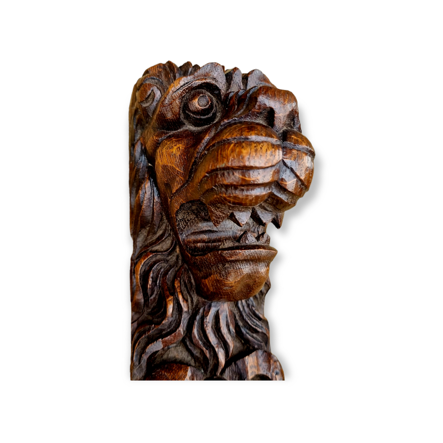 17th Century Style, 19th Century Made, Antique Carved Oak Lion Head Panel
